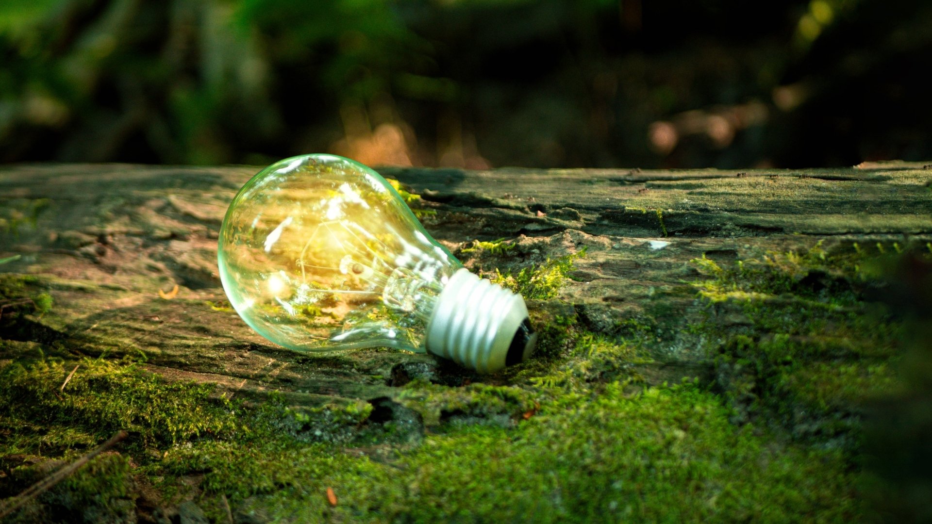 Sustainability Landing Page Sustainability Landing Page