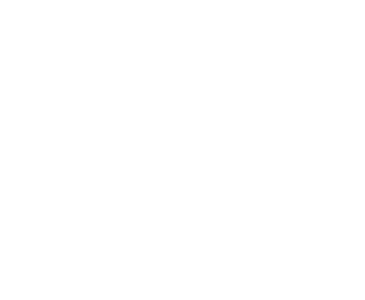 bliQ logo (white) (002)