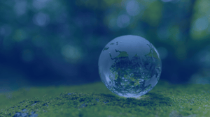 sustainability hero image