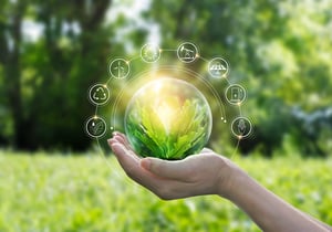sustainability services