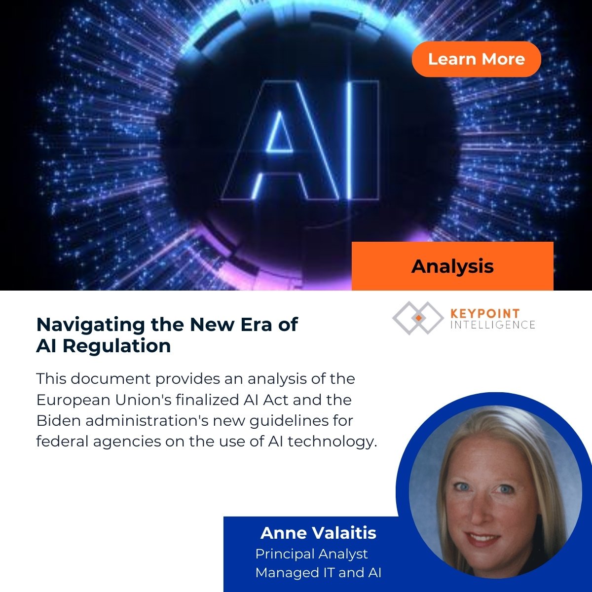 Navigating the New Era of AI Regulation