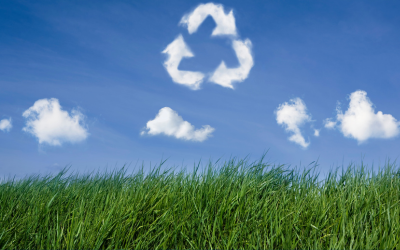 sustainability - 4